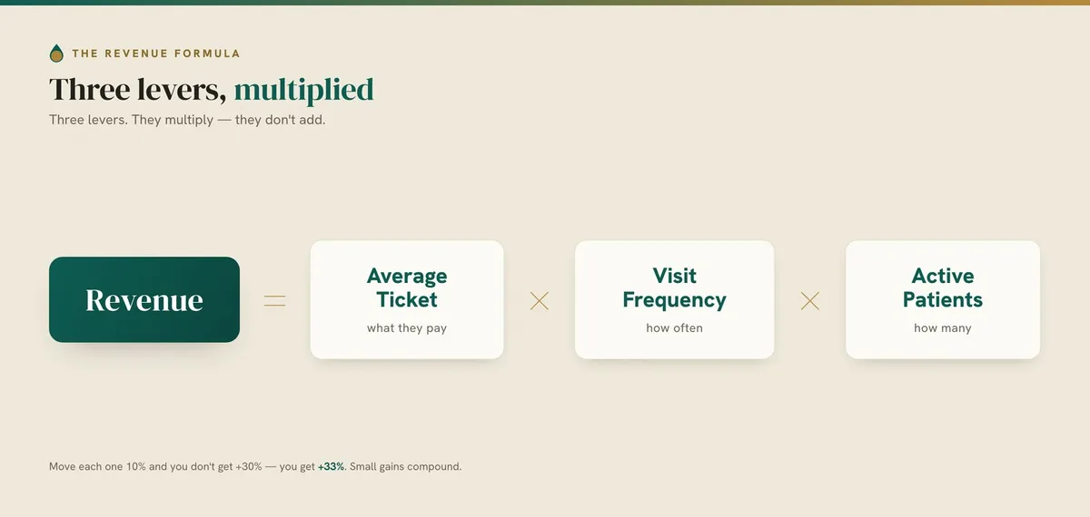 The revenue formula: Average Ticket times Visit Frequency times Active Patients, three levers that multiply.